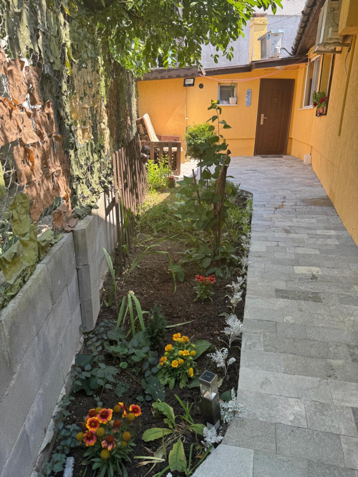 Danube Rose Cottage Rusze Kültér fotó